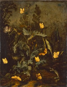 De slang bij het vogelnest / Papaver met vogelnest, slang, vlinders en een wezel