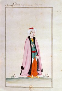 Ottomaanse kunst: een jonge Turk door Ottoman School