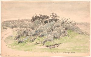 Landschap met struikgewas door P.C. Skovgaard