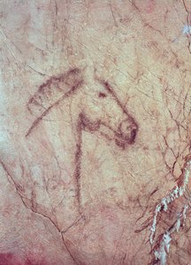 Hoofd van een paard, uit de Cueva de la Pena de Candamo San Roman (rotsschildering)