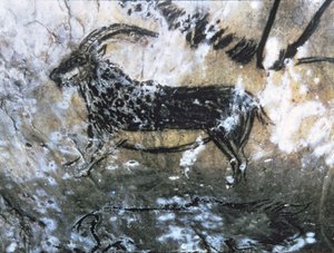 Geit of Gems, rotsschildering in de Zwarte Kamer, Magdalénien (grotschildering)