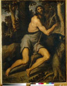 Sint Johannes de Doper in de wildernis