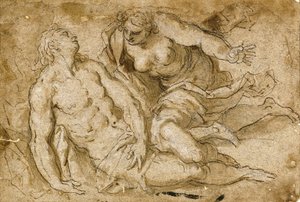 Venus ontdekt de dode Adonis door Palma Il Giovane