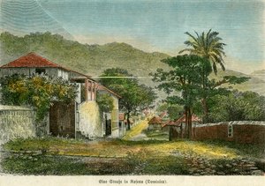 Een straat in Roseau, Dominica, ca. 1880