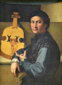 Portret van een viola da gamba speler