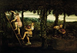 Scène van druivenoogst door Paris Bordone