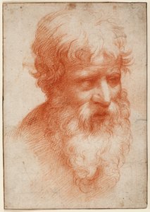 Hoofd van een bebaarde man, naar rechts kijkend, ca. 1523-25 (rode krijt op papier)