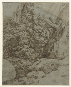 Studie van een landschap door Parmigianino