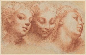  door Parmigianino