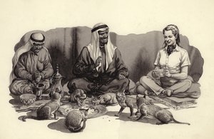 Een Arabische man voert zijn katten (gouache op papier) door Pat (1907-95) Nicolle