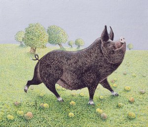 Feeling Great (acryl op calico) door Pat Scott