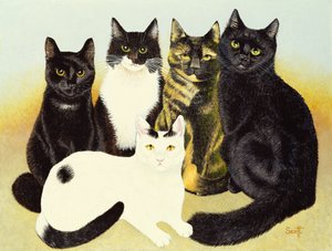 De katten van Miss Cox door Pat Scott