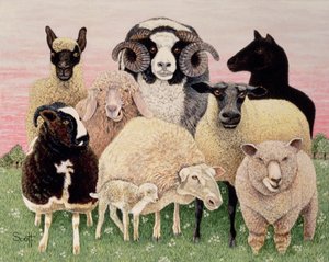Heerlijkheid voor herders door Pat Scott
