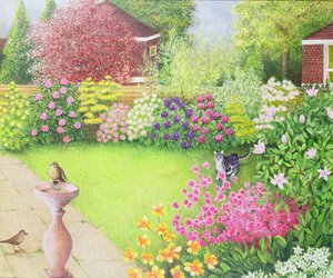 De dagelijkse splash door Pat Scott