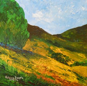 Morne La Selle, 2015 door Patricia Brintle
