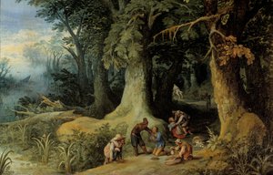 Wapenaanval in een bos