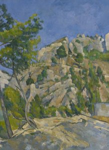 Bodem van het ravijn door Paul Cézanne