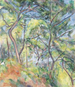  door Paul Cézanne
