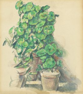 Geraniums, 1888-1890 door Paul Cézanne