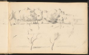 Landschap met Bomen door Paul Cézanne