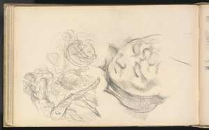 Studies Inclusief Madame Cézanne