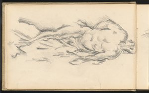 Studie van Puget