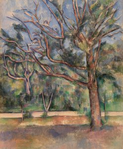 Bomen en Weg door Paul Cézanne