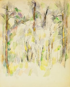 Boslandschap