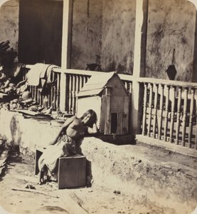 Hond uit Garvel (Martinique),jaren 1870 (foto) door Paul Emile Miot