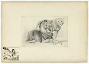 Leeuw en leeuwin door Paul Friedrich Meyerheim