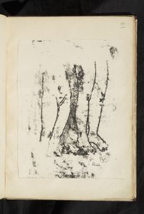 Avant et après - Studie van benen