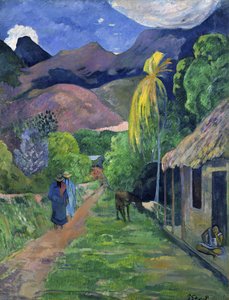 French: Rue de Tahiti Street in Tahiti