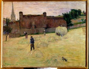 Hooi in Bretagne