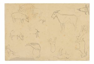 Schetsen van verschillende dieren en hoofd (recto), schetsen van een hoofd, figuur in profiel, anatomische details en dieren (verso)