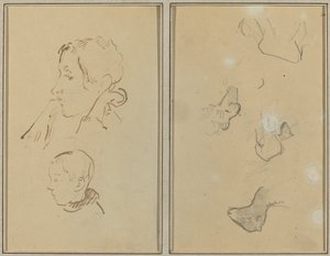 Twee hoofden; studies van schapen
