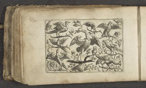 Kraanvogel en twaalf andere vogels