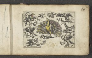 Pauw en andere vogels door Paul Göttich