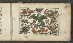 Roofvogel, elf andere vogels en een vleermuis