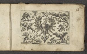 Roofvogel en elf andere vogels