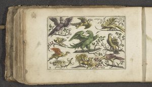 Roofvogel en tien andere vogels door Paul Göttich