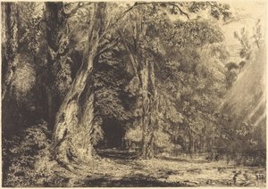 Overstroming in het bos van Île Séguin door Paul Huet