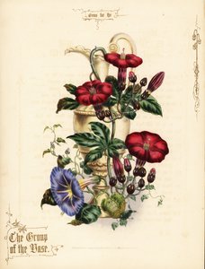 Boeket van scharlaken ipomoea en blauwe ochtendglorie met vaas