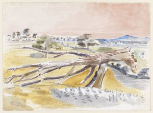 Monster Veld, Studie II