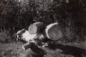 Object zoeken door Paul Nash