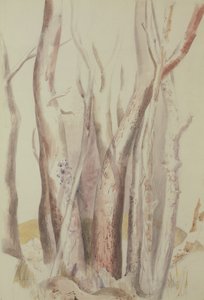 Studie van een Bebost Landschap