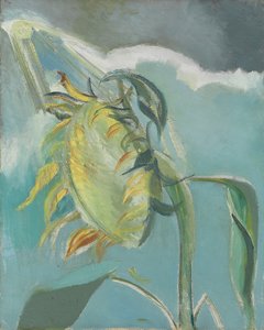 Zonnebloem en Zon, ca. 1945