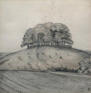 Het bos op de heuvel door Paul Nash