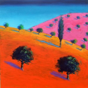 Roze Heuvel door Paul Powis