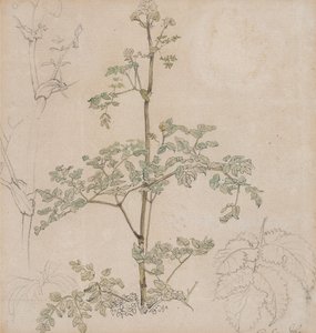  door Paul Sandby