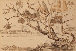 Landschap door Paul Signac